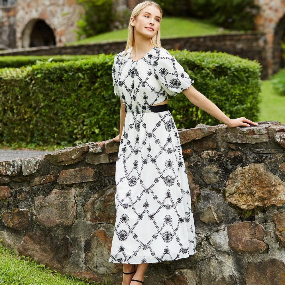 NWOT Antonio Melani Javier Midi Dress Sold out everywhere